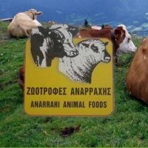 ζωοτροφες αναρραχης